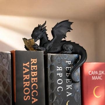 Reading Dragon Bookshelf Decor