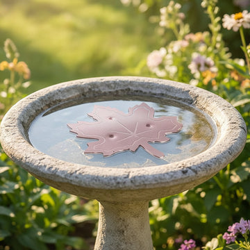 Universal Fit Bird Bath Purifier