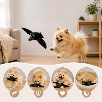 Electric Flapping Bat Dog Toy | Interactive USB Rechargeable Plush with Remote Control & Catnip Pocket