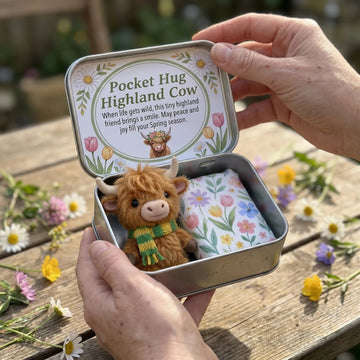 Pocket Hug Highland Cow Gift Set