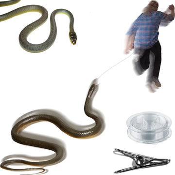 Snake Prank with String and Clip
