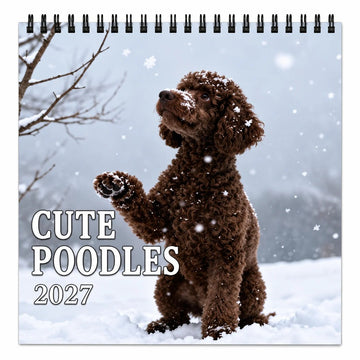 2027 Cute Poodle Calendar