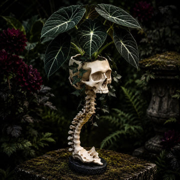 Sculptured Skull Flowerpot