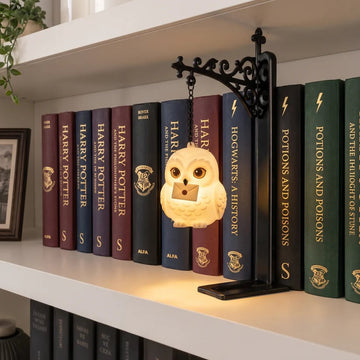 Enchanted Hanging Owl Bookshelf Light