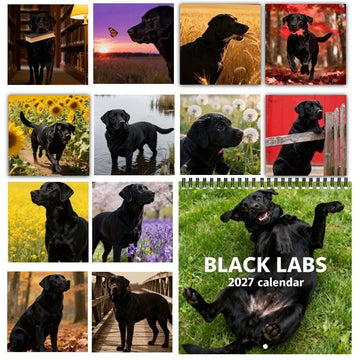Black Labs 2027 Wall Calendar
