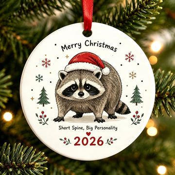 Adorable Christmas Raccoon Ornament